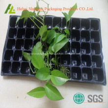 plantation des semis Starter plateaux 50 cellules
